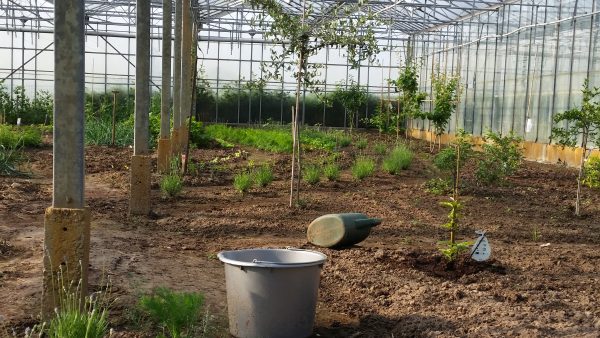 20160527_083956 (1)