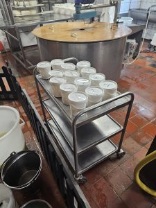 6fc5b50f-057a-4b04-8771-bab66900557e