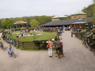 algemeen (54)