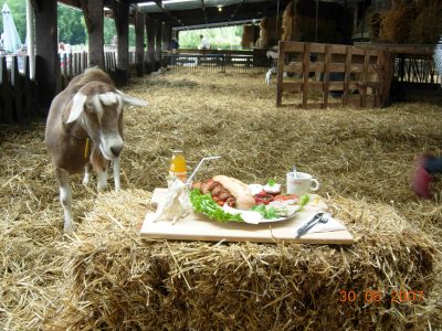 personeelsbbq-290607-070